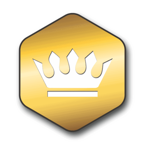 Mission Sponsor Gold Badge Icon