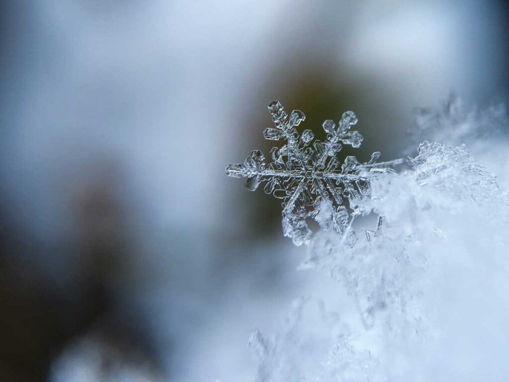 Minnesota Backgammon Open closeup of a snowflake