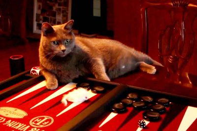 Cat playing backgammon